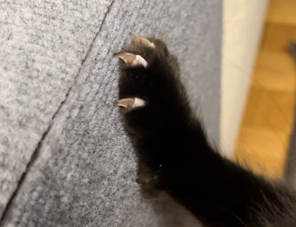 Tapis Scratch-me
